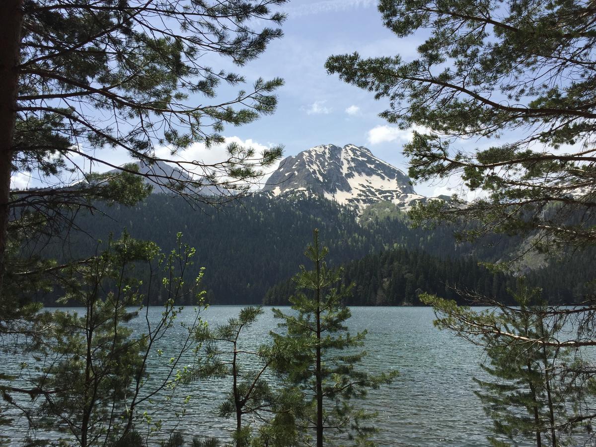 Villa Moutain View Žabljak Kültér fotó