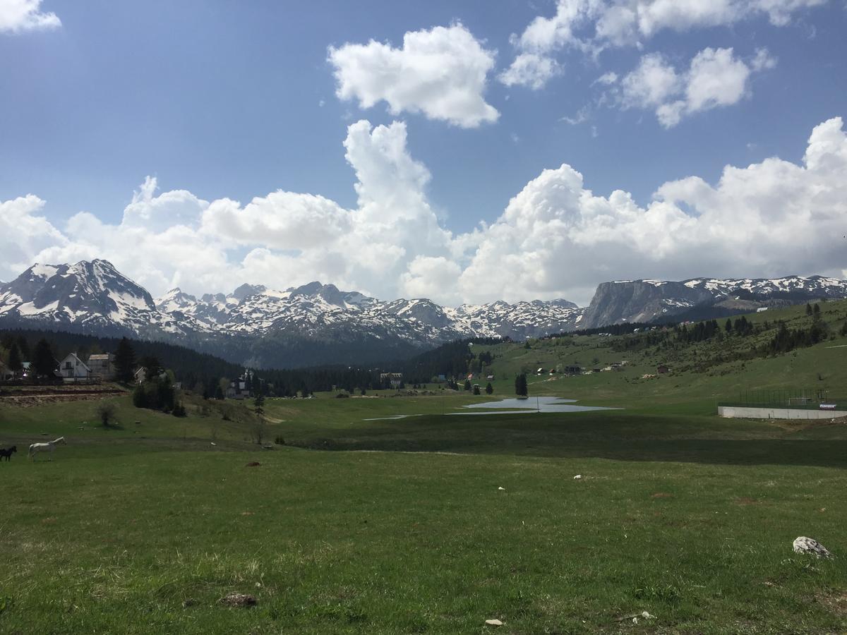 Villa Moutain View Žabljak Kültér fotó