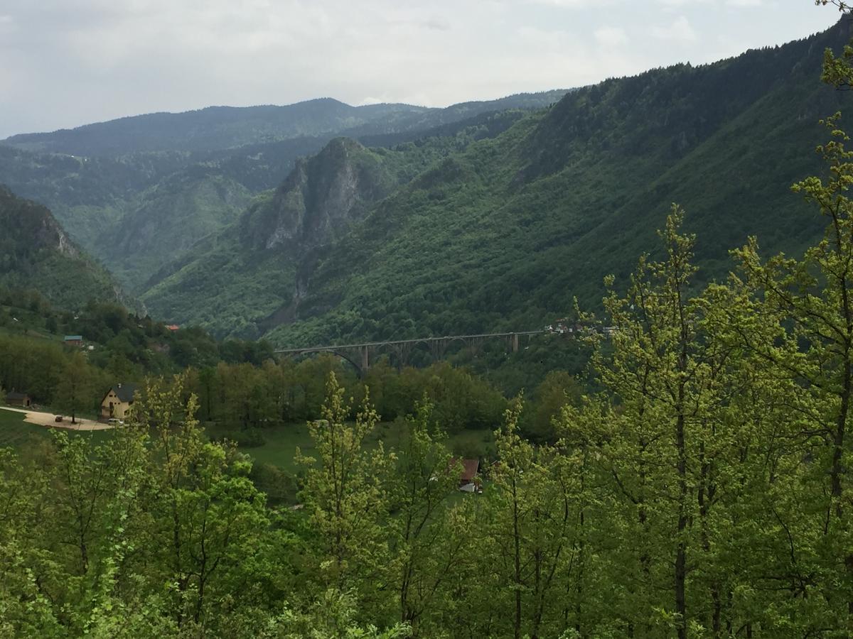 Villa Moutain View Žabljak Kültér fotó